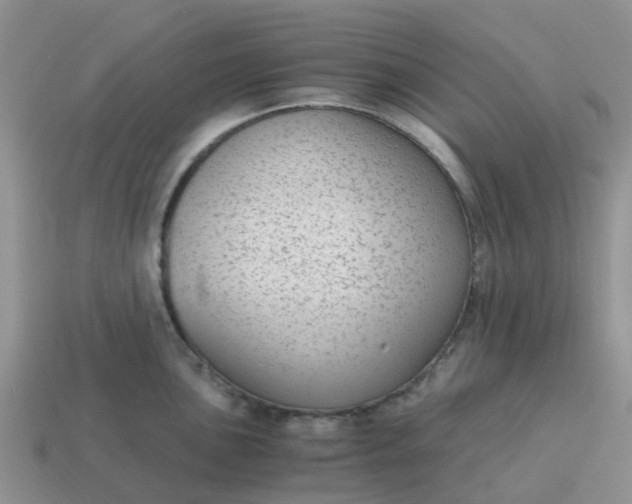 X0000115041051200911091400