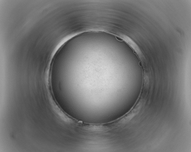 X0000115041052200911091400
