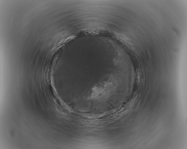X0000115041060200911091359