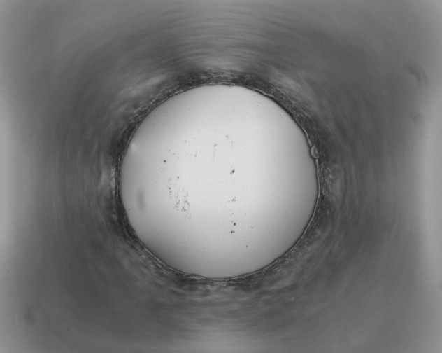 X0000115041061200911091359