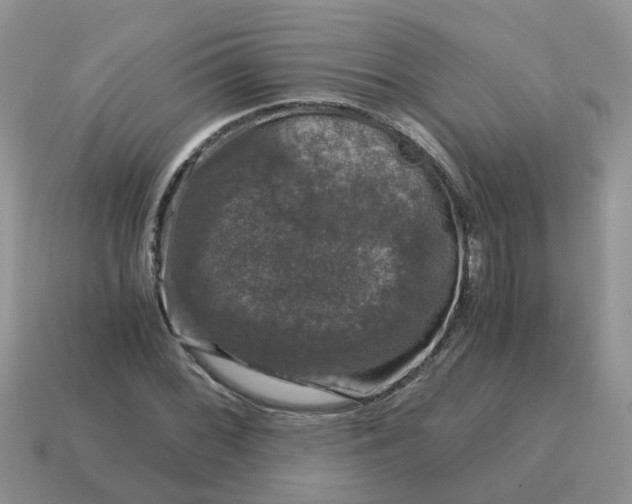 X0000115041068200911091359