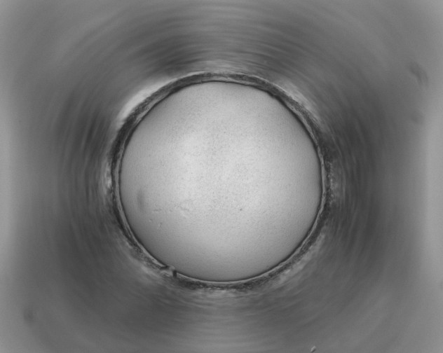 X0000115041070200911091359