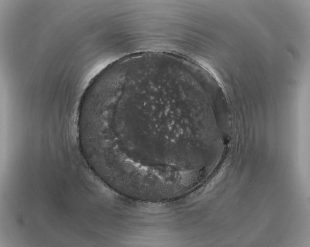 X0000115041071200911091359