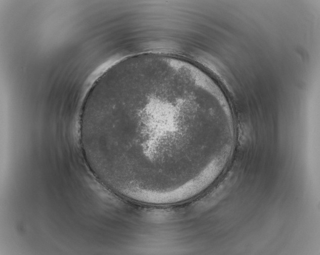 X0000115041074200911091359