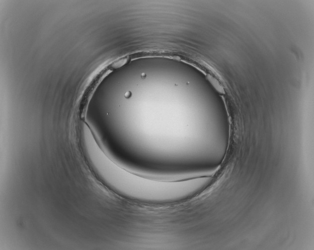X0000115041075200911091359