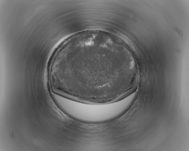 X0000115041076200911091359