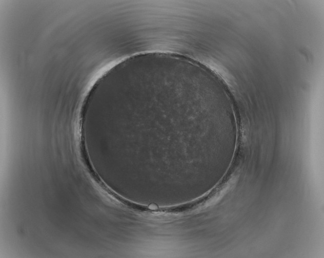 X0000115041077200911091359