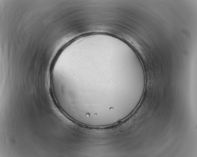 X0000115041080200911091359