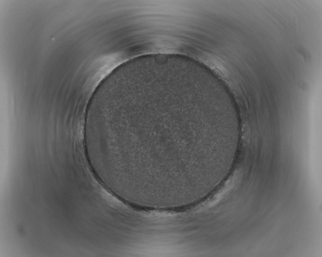 X0000115041081200911091359