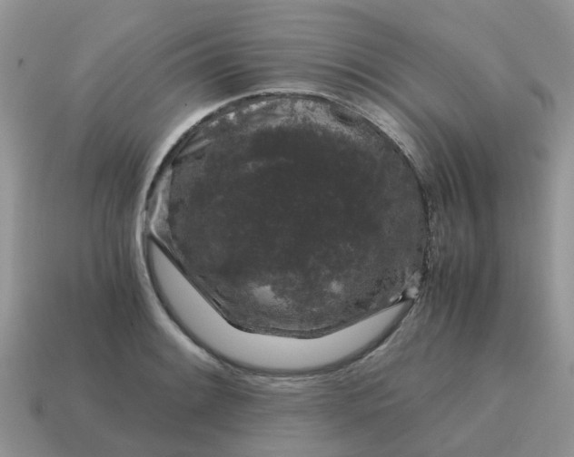 X0000115041084200911091359