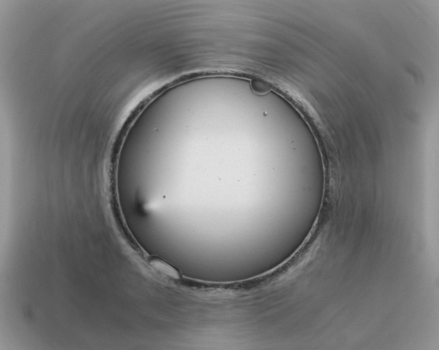 X0000115041085200911091359