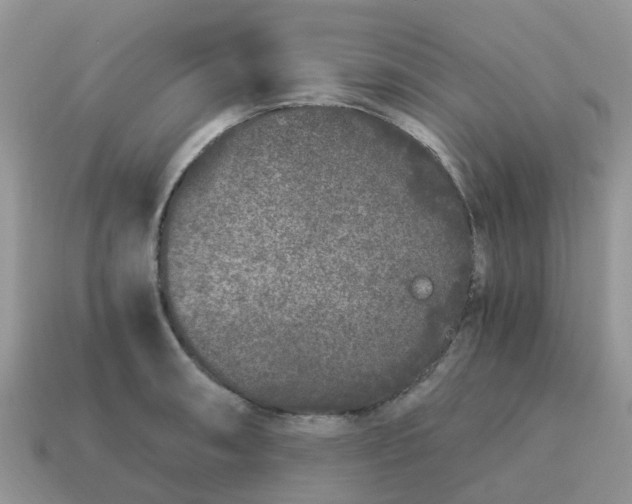 X0000115041090200911091359