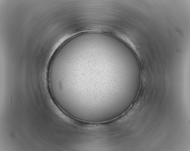 X0000115041091200911091359