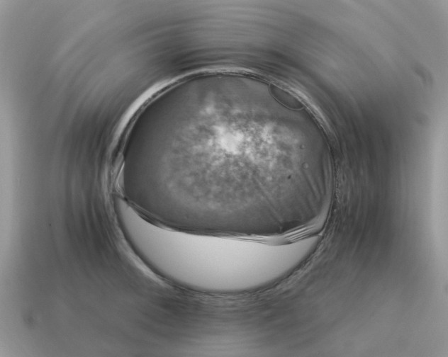 X0000115041092200911091359
