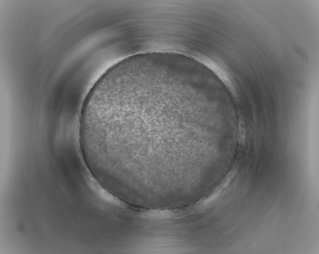 X0000115041094200911091359