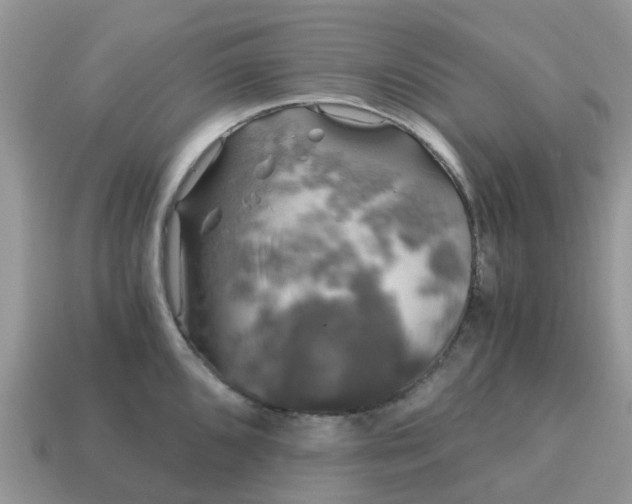 X0000115041096200911091359