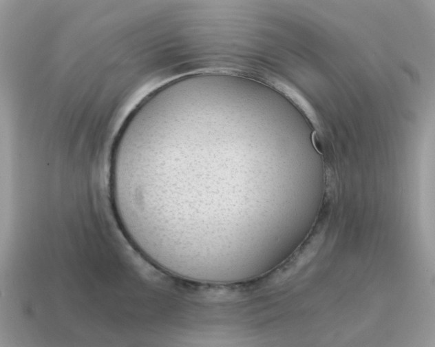 X0000115041099200911091359