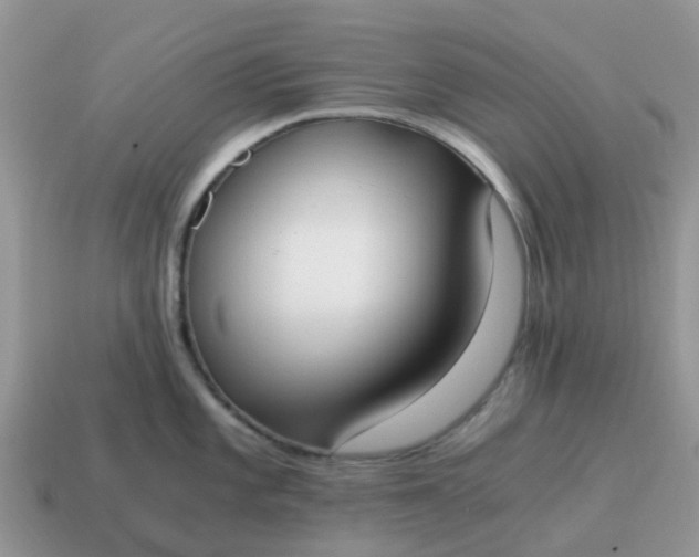 X0000115041101200911091359