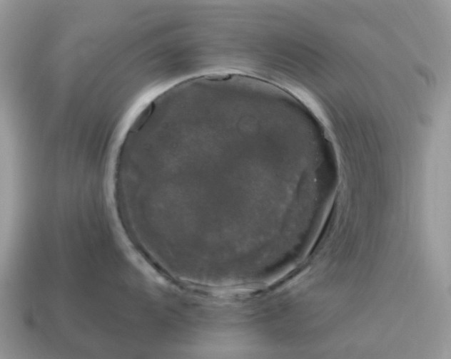 X0000115041104200911091359