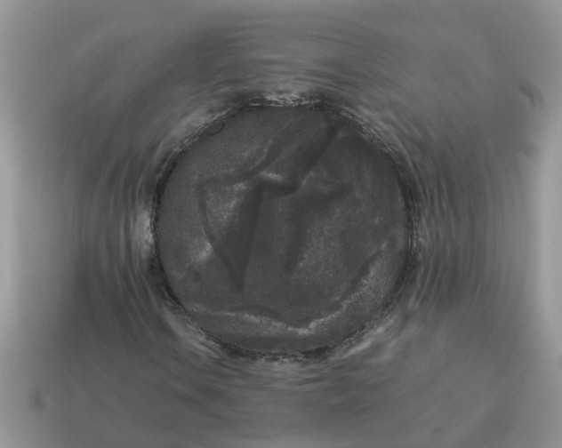 X0000115041106200911091358