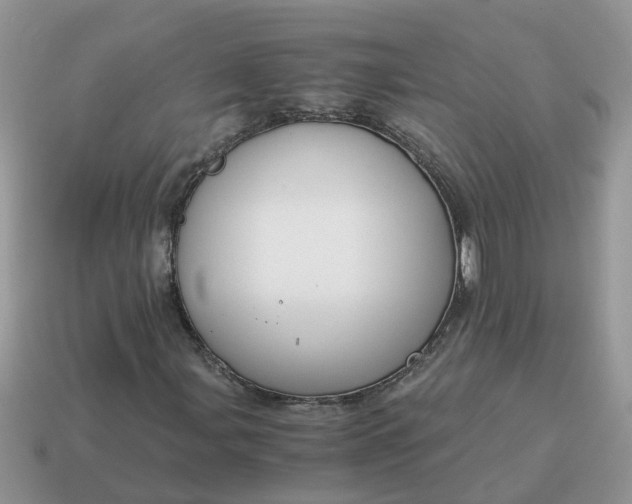 X0000115041107200911091358