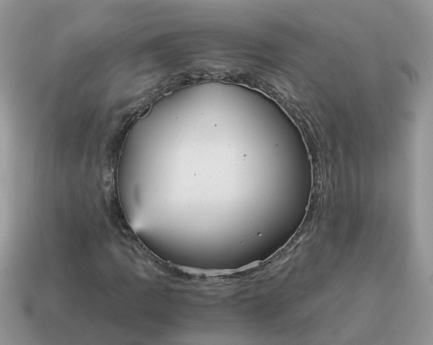 X0000115041109200911091358