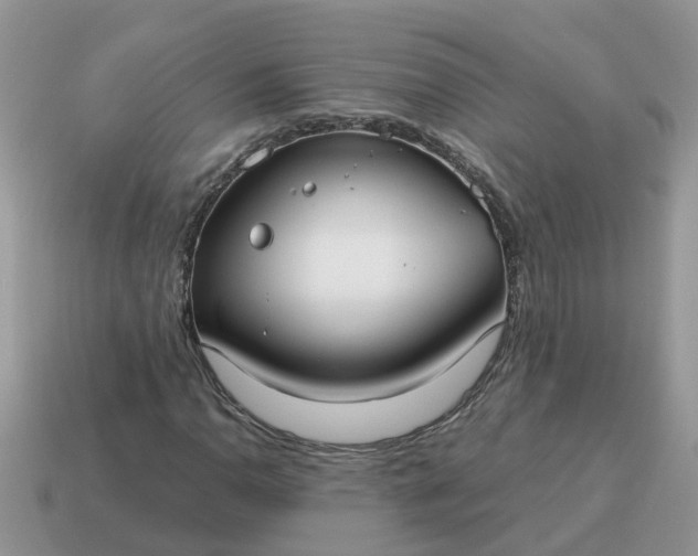 X0000115041110200911091358