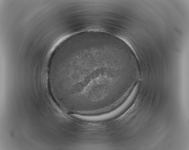 X0000115041115200911091358