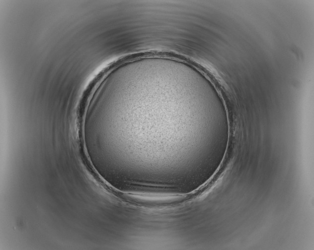 X0000115041118200911091358