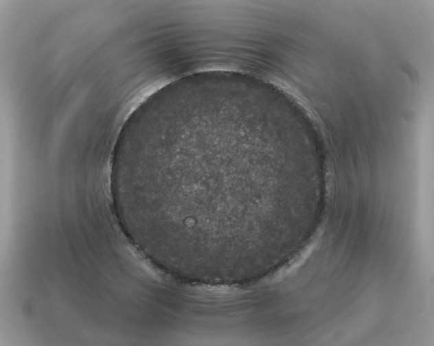 X0000115041121200911091358