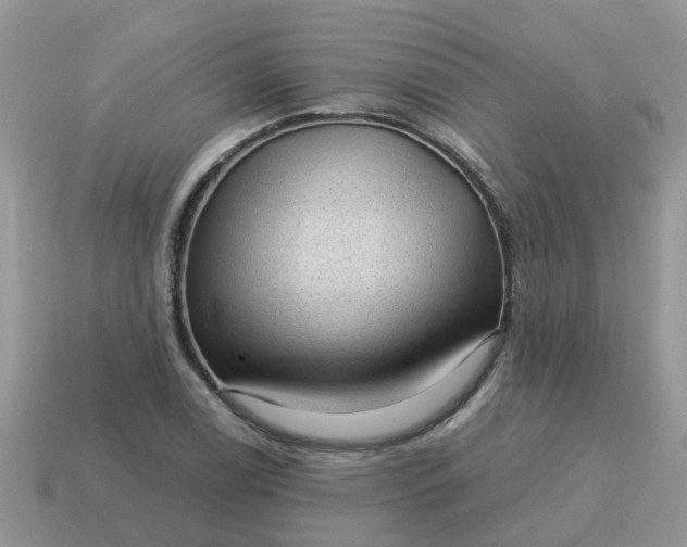 X0000115041122200911091358
