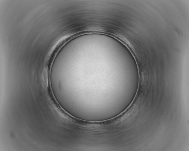X0000115041123200911091358