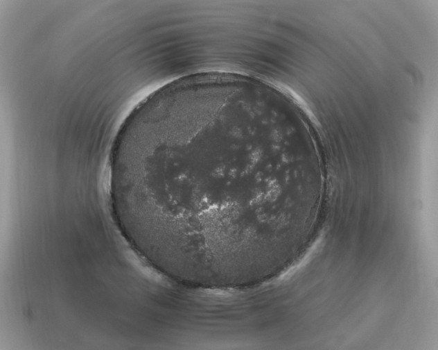 X0000115041125200911091358