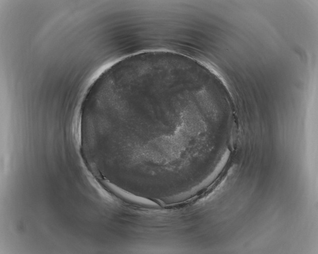 X0000115041127200911091359