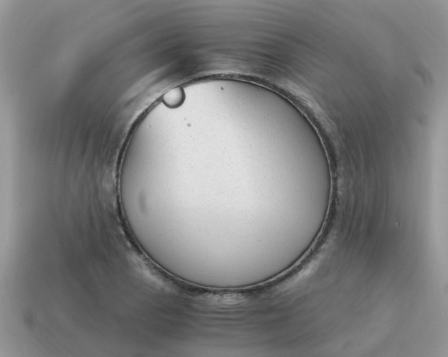 X0000115041129200911091359