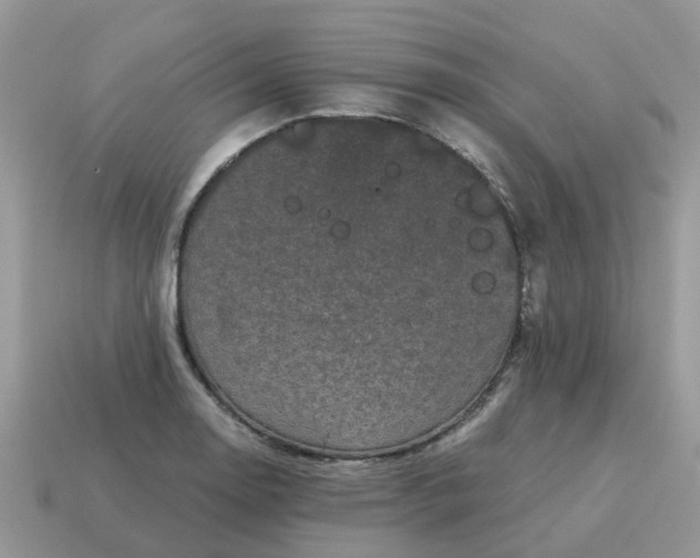 X0000115041130200911091359