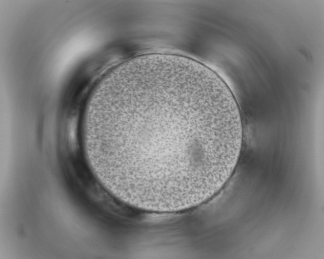 X0000115041150200911091359