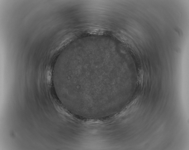 X0000115041154200911091358