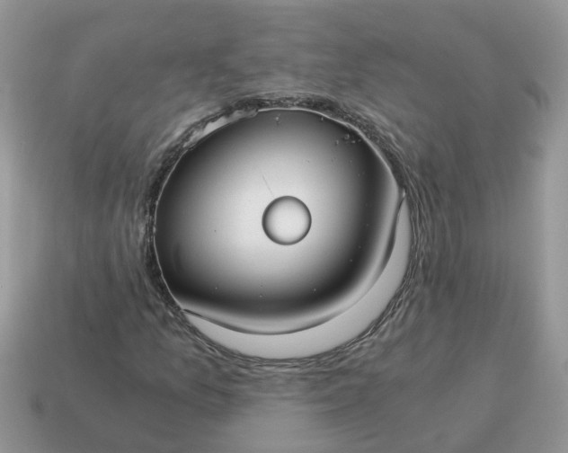 X0000115041157200911091358