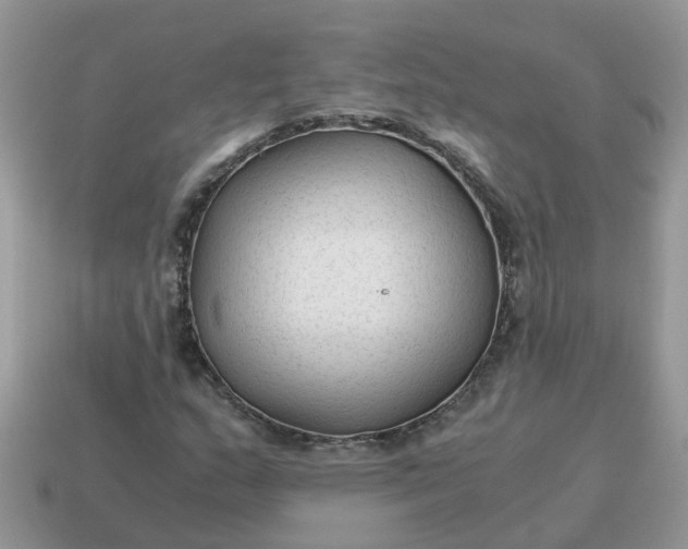 X0000115041159200911091358
