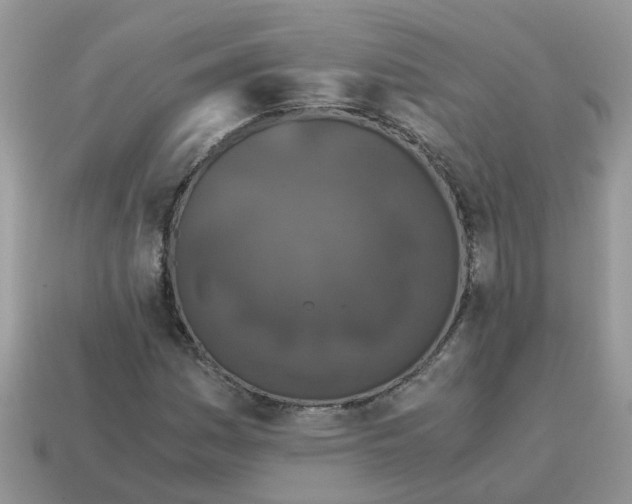 X0000115041161200911091358