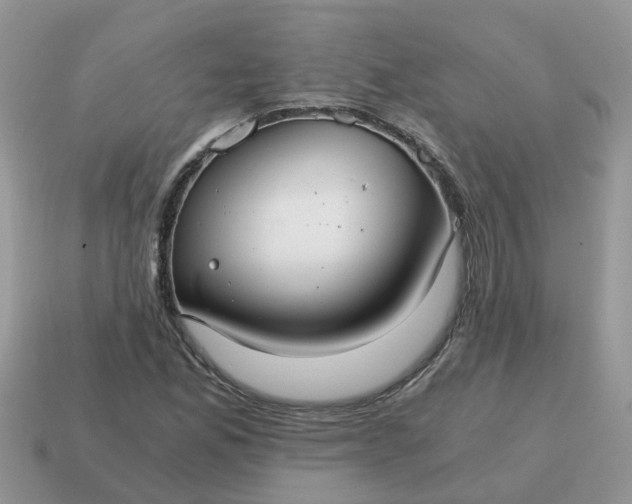 X0000115041165200911091358