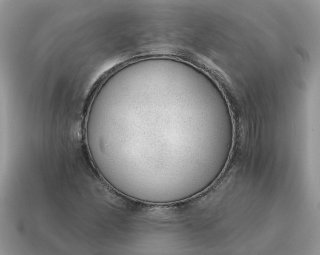X0000115041166200911091358