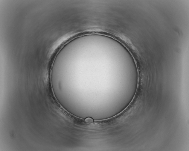 X0000115041167200911091358