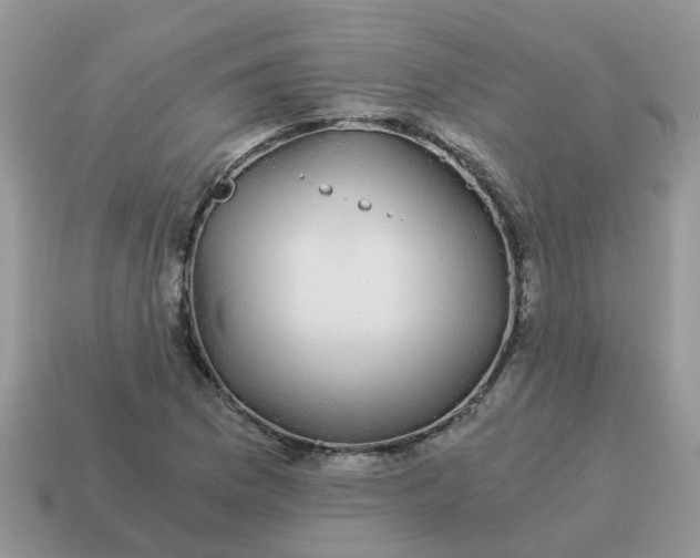 X0000115041169200911091358