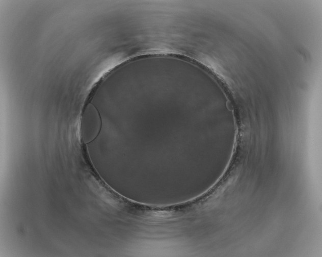 X0000115041173200911091358