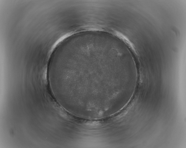 X0000115041174200911091358