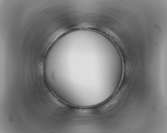 X0000115041177200911091358
