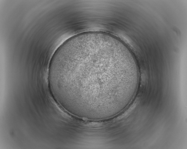 X0000115041178200911091358