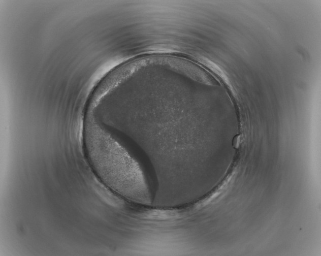 X0000115041179200911091358